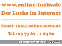 4-zeilige Folienschrift - 30 cm breit