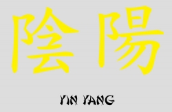 Chinesisches Schriftzeichen --- Bedeutung: Yin Yang