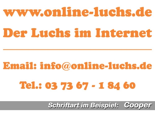 4-zeilige Folienschrift - 30 cm breit